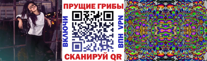 Псилоцибиновые грибы Cubensis  MEGA ССЫЛКА  Сысерть 